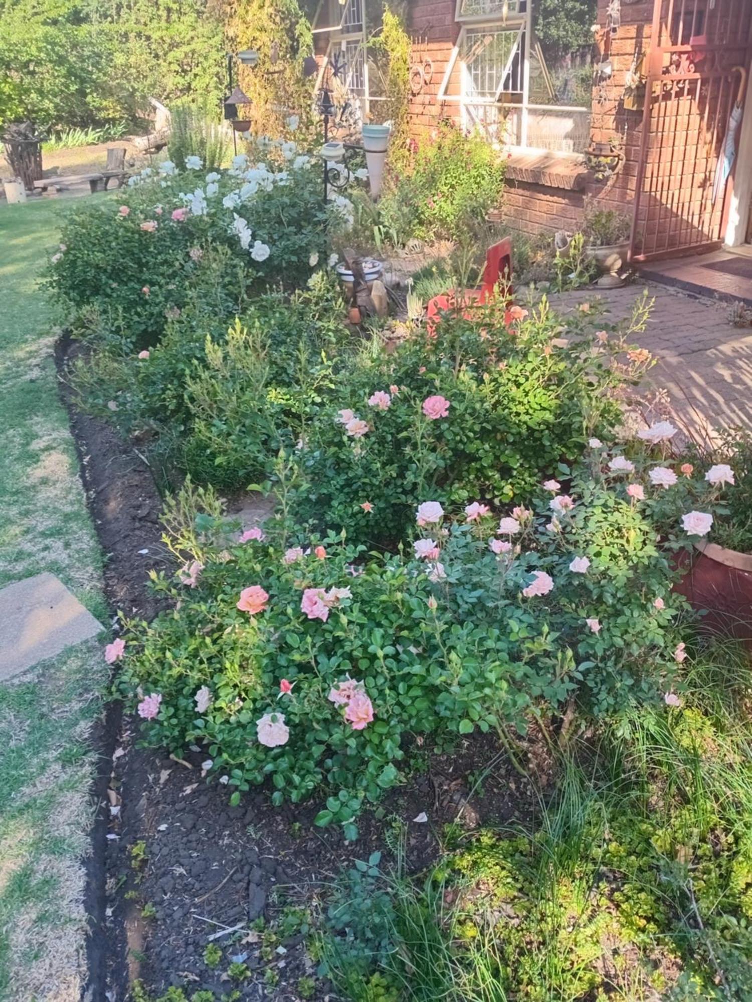 Amani Guest House Clarens Exterior foto